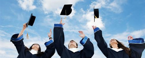 “仅限高校毕业生”政策解析与实施评估